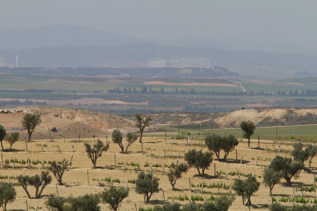 036 Bardenas reales.JPG